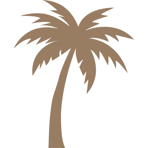 PALMERA SELVAVIVA